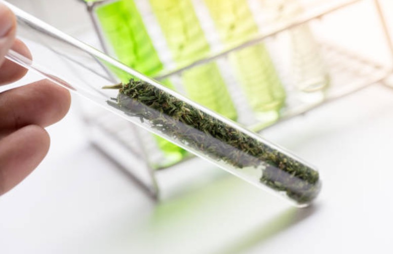 Neptune researches new medical and wellness cannabinoid-based products