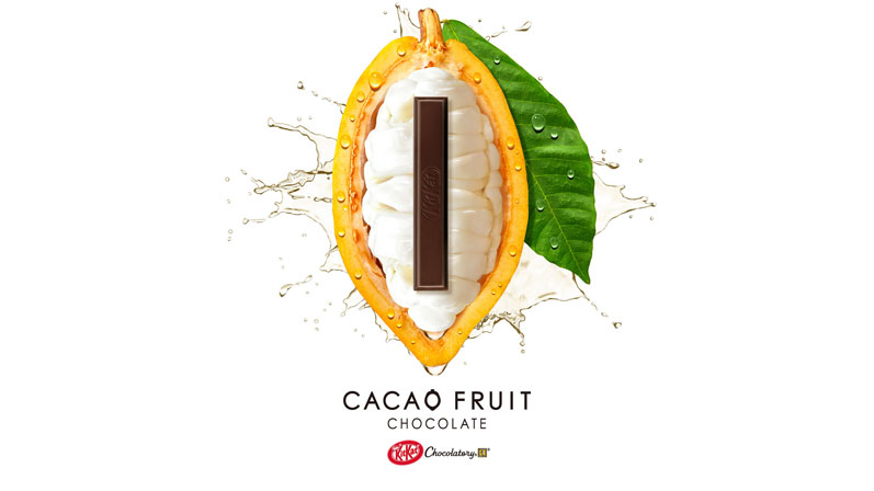 Nestlé invents sugar-free dark chocolate made entirely from cocoa fruit