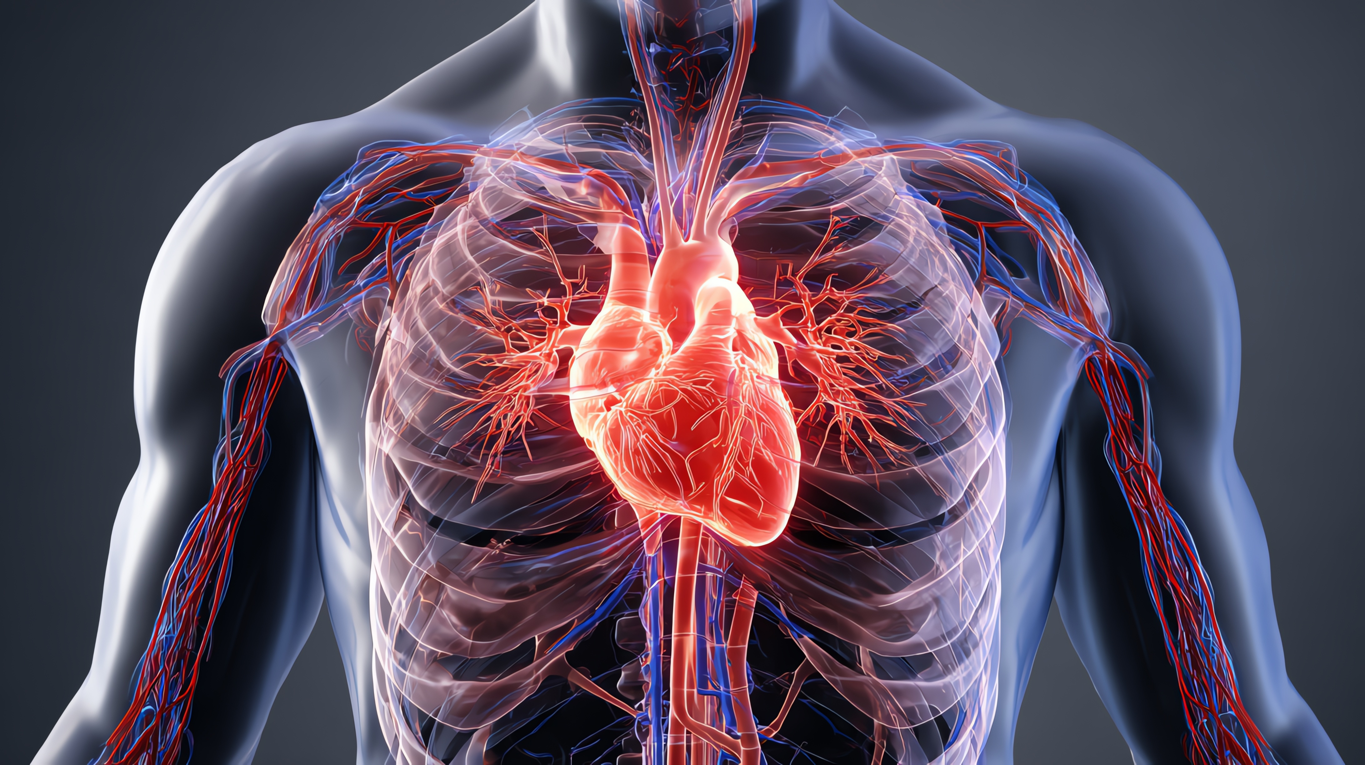 New human study explores beetroot-derived ingredient TruBeet for supporting vascular function and circulation