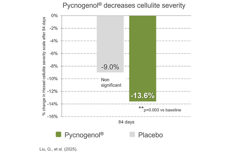 New research on leg comfort and beauty with Pycnogenol