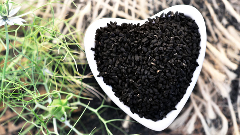 New study reveals the efficacy of black seed oil to support healthy blood pressure and heart rate