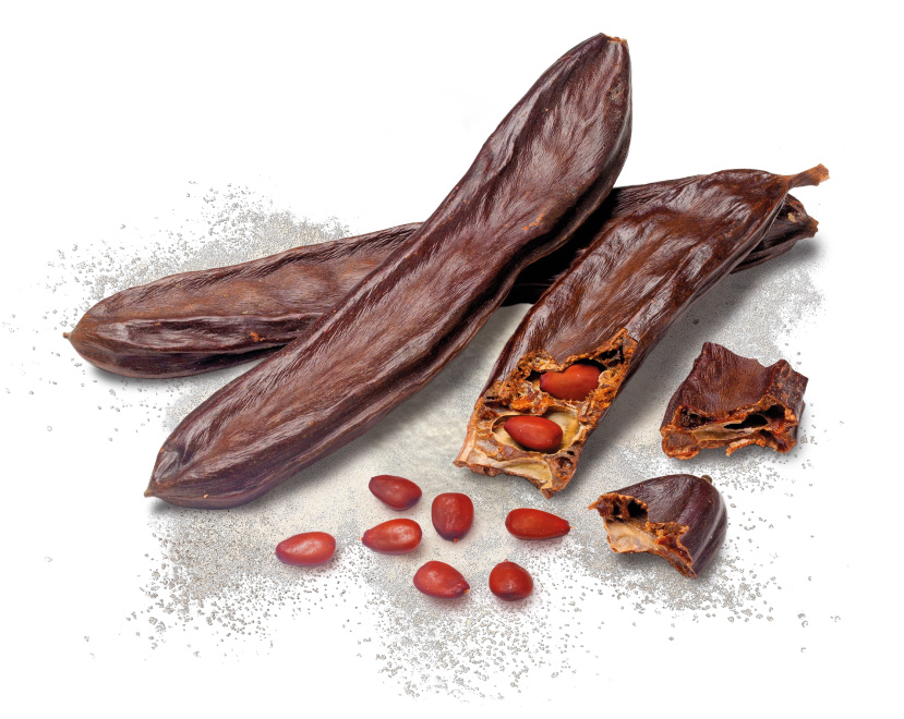 Nexira launches a new texturiser range of premium and performing locust