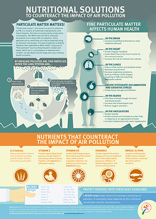 Nutritional solutions to combat the health effects of air pollution