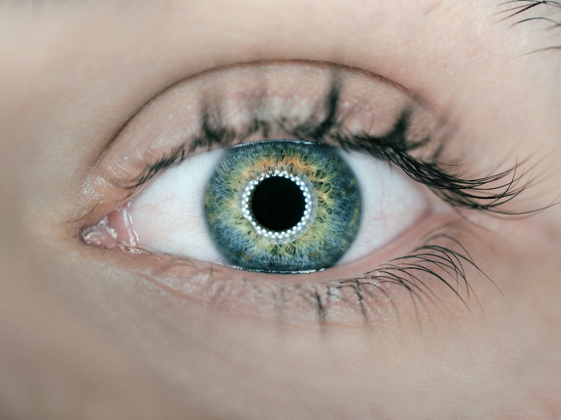 OmniActive uses antioxidants to boost children's eye health