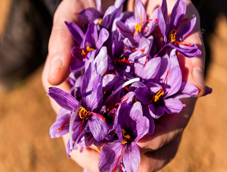 Pharmactive saffron extract gains US patent for mood support