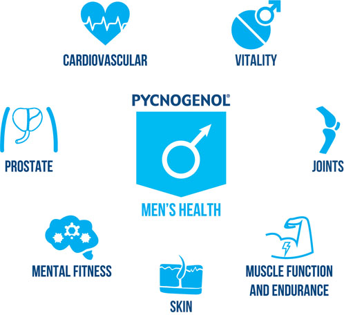 Pycnogenol: a men’s health multitasker
