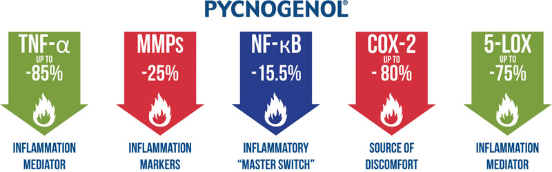 Pycnogenol in immune health: inflammatory response, antioxidant activity and symptom relief (part I)