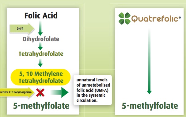 Quatrefolic combats mental health issues