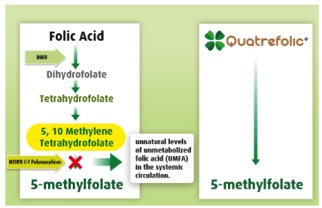 Quatrefolic strikes again