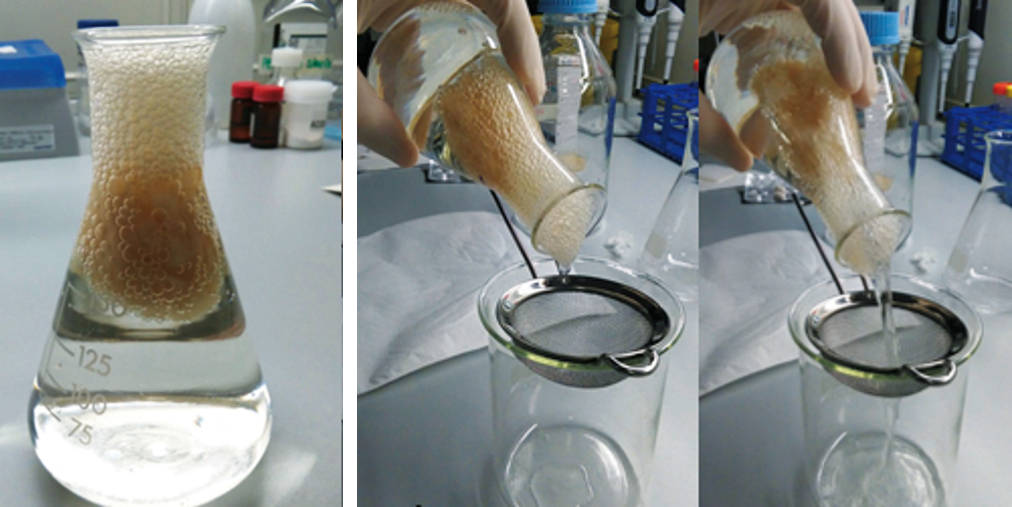 Figure 1. Raft forming test. RefluG™ was added to a 0.1N HCl solution, maintained at 37°C in a glass flask. Within 2 minutes the product floated on the surface forming a persistent “raft” acting as a physical barrier which prevent reflux episodes and symptoms.