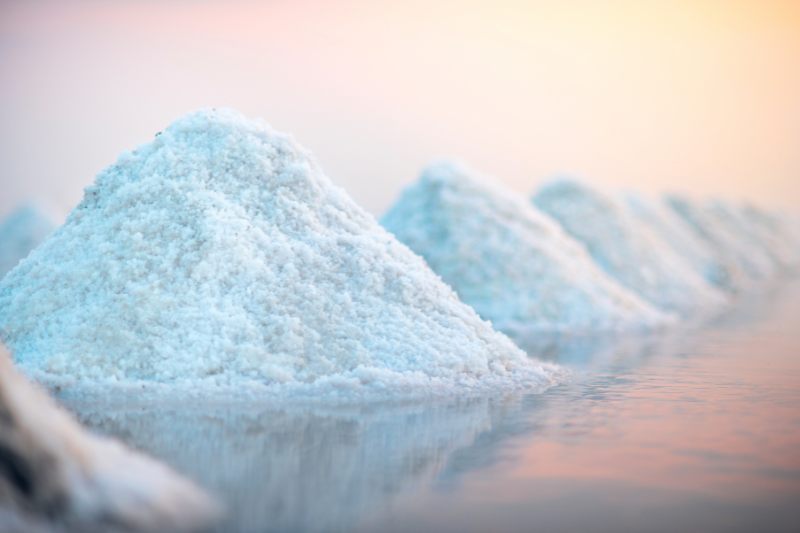 SALTWELL opens new Chile production facility for lower-sodium salt