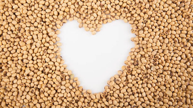 Study defends soy as FDA plots to remove it from heart-healthy food list