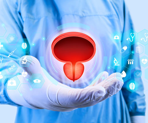 Supporting prostate health with a USP-verified saw palmetto extract