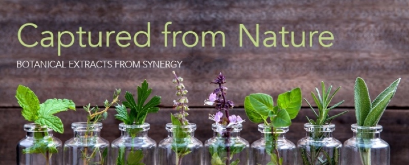 Synergy flavours launches botanical extracts range