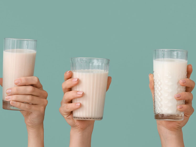 Synergy introduces new flavour varieties to achieve a dairy taste experience in plant-based milks