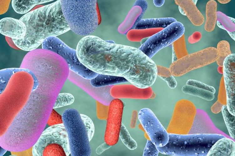 The gateway to wellness: understanding the microbiome to meet consumer trends 