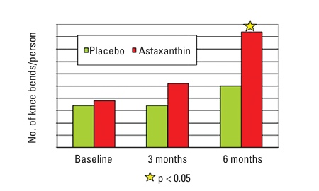 Figure 3: Number of knee bends in healthy young men receiving a placebo or 4 mg of astaxanthin per day<sup>10</sup>