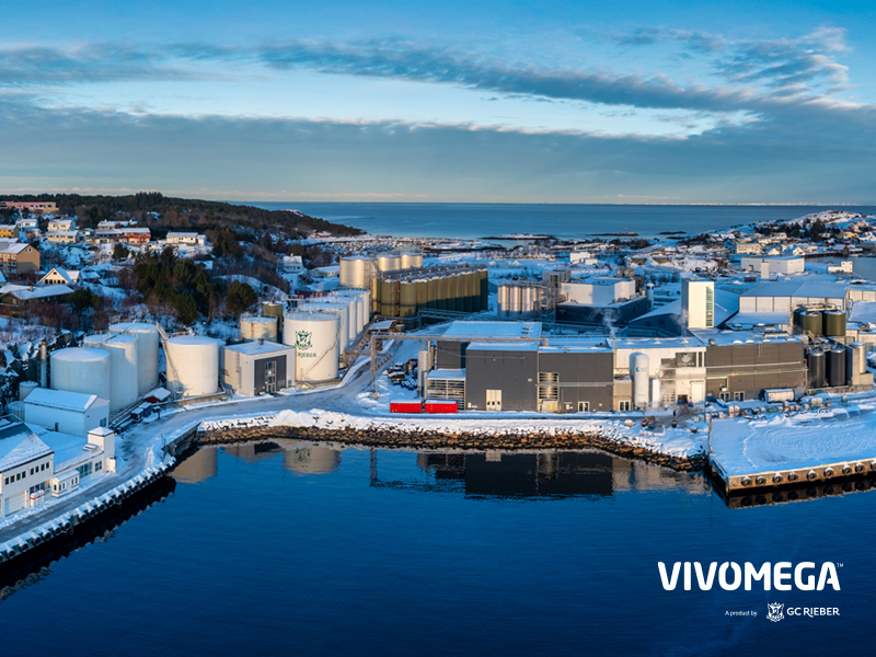 Top six things to look for in an omega-3 ingredient supplier