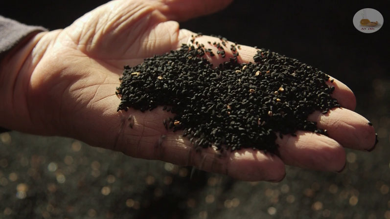 TriNutra achieves self-affirmed GRAS status for its standardised, cold-pressed black seed oil