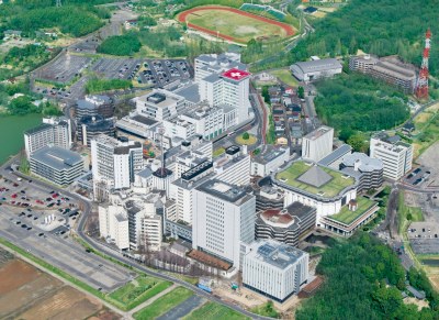 Underweight and unbalanced: gut microbial diversity in underweight Japanese women