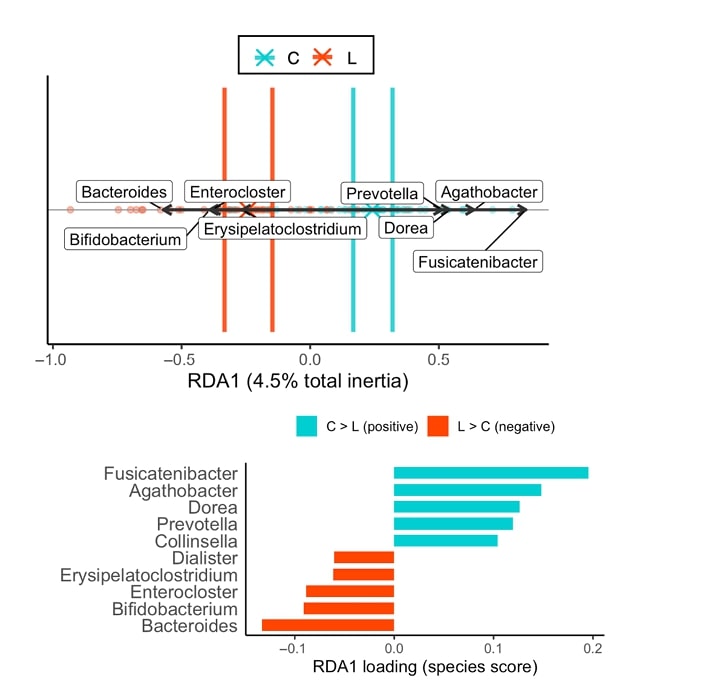 Underweight and unbalanced: gut microbial diversity in underweight Japanese women