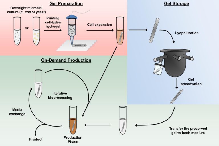 Image as seen on Texas University website