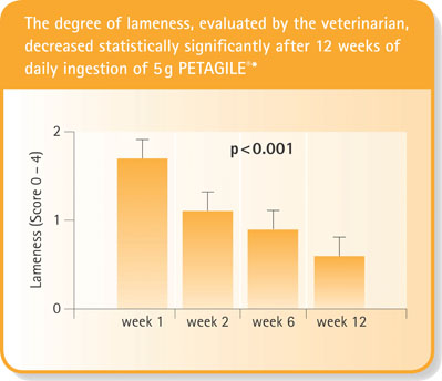 Figure 2: The degree of lameness, evaluated by a veterinarian, decreased statistically significantly after 12 weeks of daily ingestion of 5 g of PETAGILE