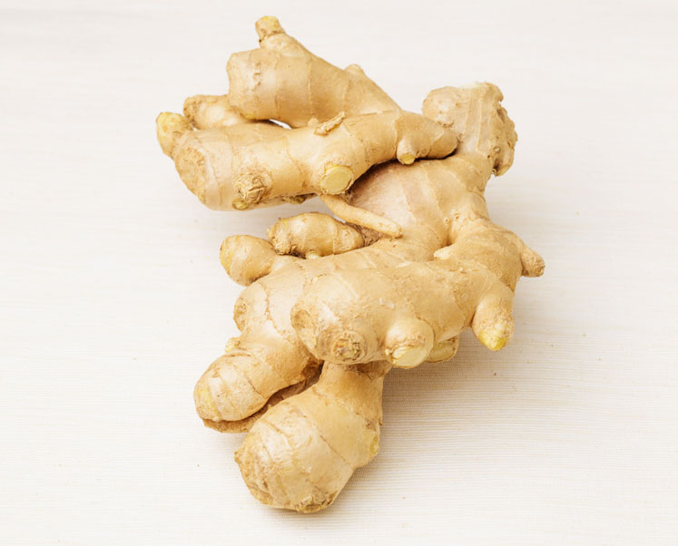 Aurea Biolabs launches full spectrum ginger ingredient Ginactiv