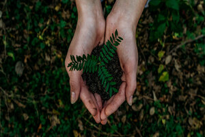 Azelis publishes 2020 sustainability report