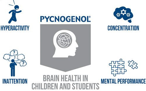 Back to school with Pycnogenol: part I