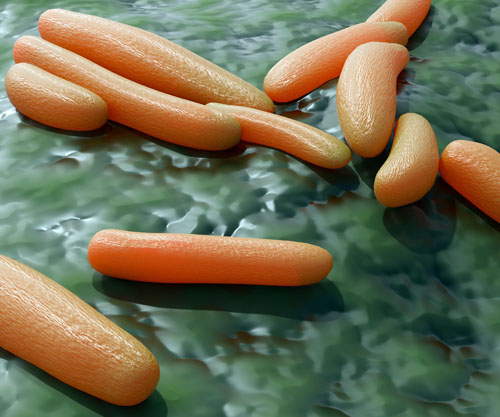 Bacteria-made face masks: the bacterial cellulose revolution in cosmetics