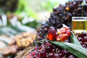 BASF achieves its palm oil commitment: 100% RSPO-certified palm (kernel) oil sourced in 2021
