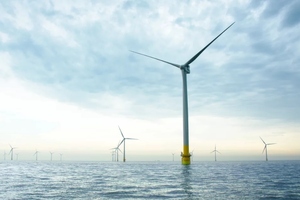 BASF offers carbon footprints for nutritional product portfolio