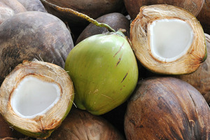 BASF transforms market towards certified, sustainably sourced coconut oil