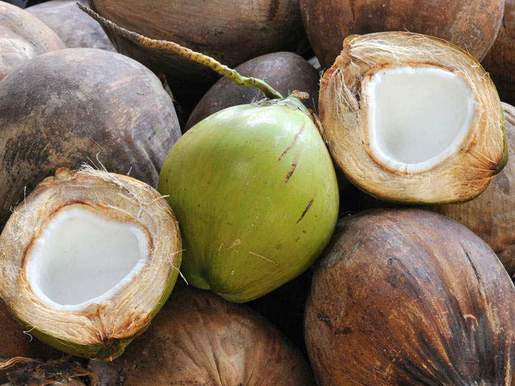 BASF transforms market towards certified, sustainably sourced coconut oil