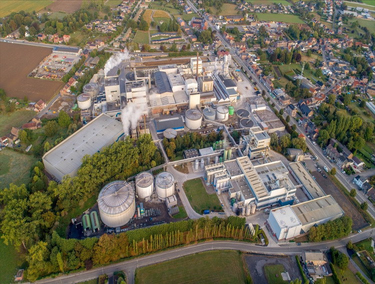 Beneo announces capacity extension for prebiotic chicory root fibre