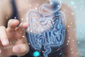 Between food and nutrition: future prebiotic trends
