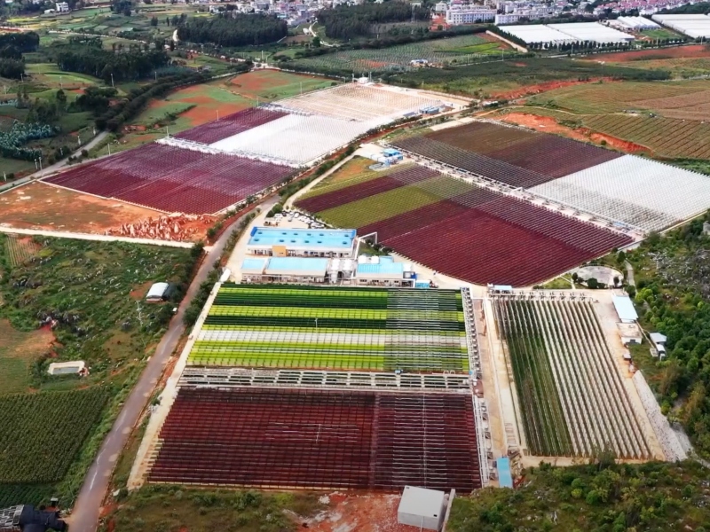 BGG completes photobioreactor microalgae farm expansion