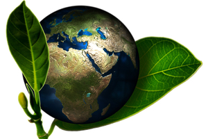 Bioplastics: paving the way to meet EU packaging and packaging waste regulation goals