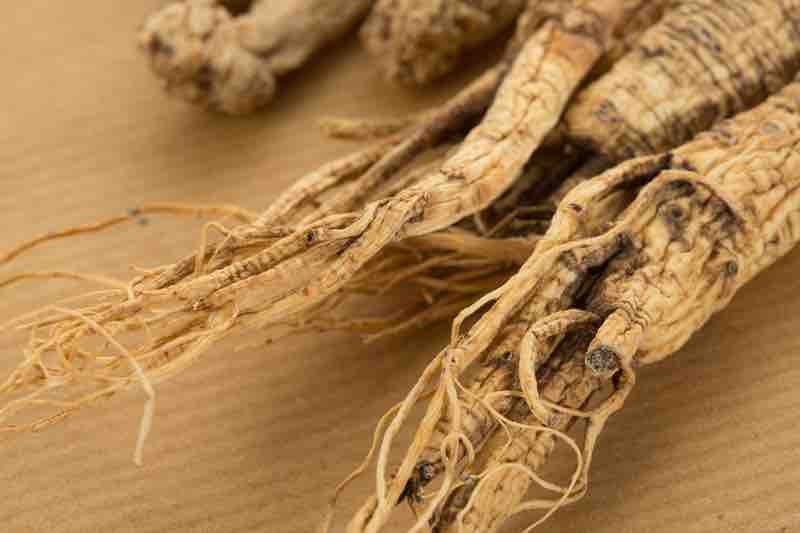 BioVivo launches new ginseng extract, invests $70m on US manufacturing facility