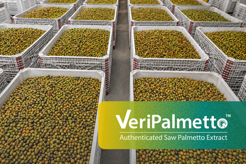 BioVivo Science launches VeriPalmetto with fully traceable saw palmetto supply chain