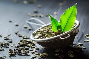 BioVivo Science to debut natural caffeine ingredient at Natural Products Expo West