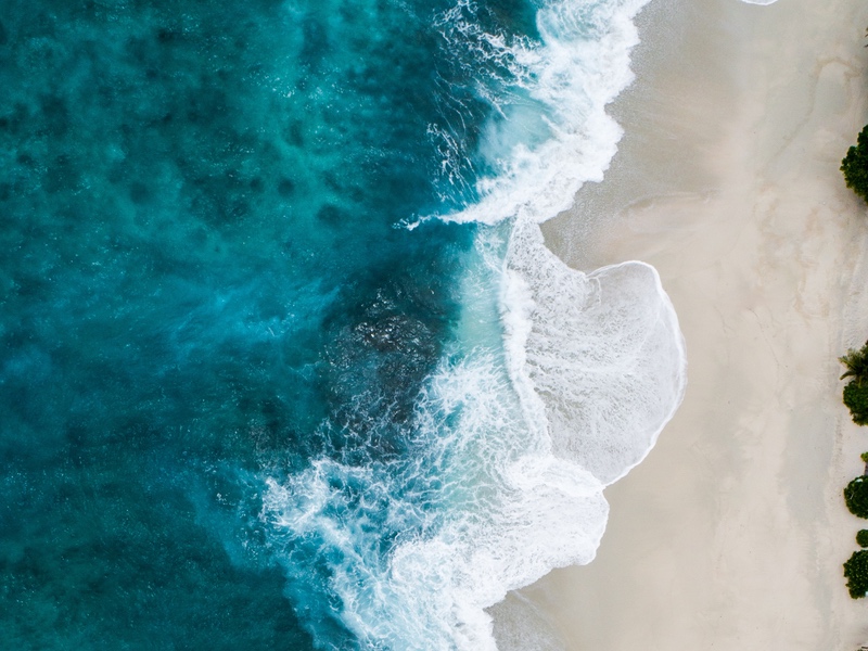 Body Kitchen announces commitment to sustainable marine nutraceuticals