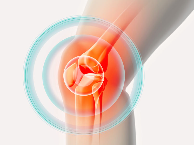 Bone and joint health ingredients for better movement and added comfort