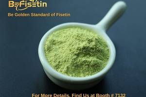 Bonerge Lifescience announces the upcoming expo debut of BeFisetin