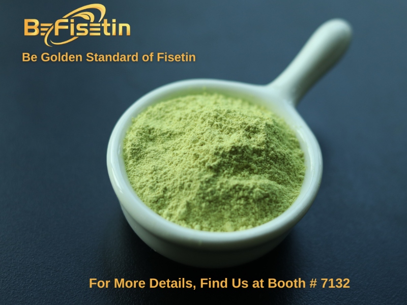 Bonerge Lifescience announces the upcoming expo debut of BeFisetin