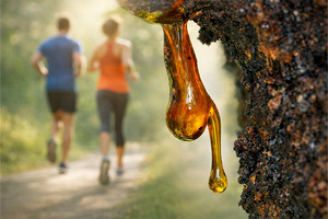 Boswellia extract delivers next-level joint comfort