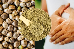Brightseed preclinical data highlights gut barrier support