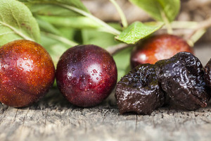 California Prune Board welcomes USDA MAP funds to boost exports