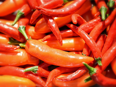 Capsaicinoids science talk at Bridge2Foods